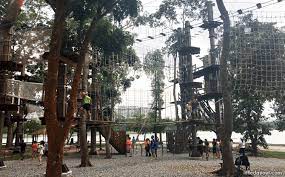 Playing forest adventure online game, you will have to help the small amusing yellow creature. 10 Things To Know Before Visiting Forest Adventure Little Day Out