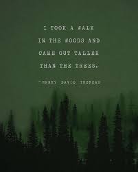 Henry David Thoreau Quote Poster I Took A Walk In The Woods Mens Art Trees Poster Gifts For Him Thoreau Quotes Nature Quotes Henry David Thoreau Quotes