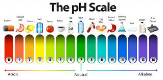 Ph Level Of Water A To Z Ph Guide How To Test At Home 2019