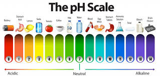 Ph Level Of Water A To Z Ph Guide How To Test At Home 2019