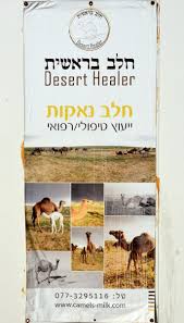 Where would you find a camel in roman britain? The Changing Role Of Camels Among The Bedouin Of The Negev Springerlink