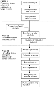 13 Flow Chart Of Process For Producing Powder Formulation