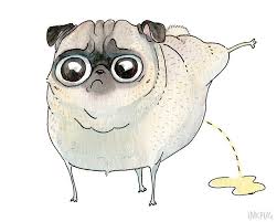 Pee Pilates Peeing Pug Art Print Funny Pug Print Pug Bathroom Art Strange Pug Drawing By Inkpug Pug Art Pug Art Print Dog Drawing