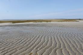 Low Tide At Skaket Beach A Slideshow Cape Cod Wave