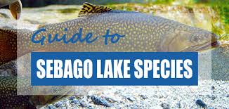 List of lakes in maine. List Of Sebago Lake Fish Species 2021 Fishable Non Pond Informer