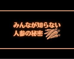 みんなが知らない人参の秘密 – 小林青果株式会社ホームページ