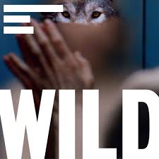 Terranova, Stereo MCs, Michael Mayer, Prof.Winkler, Re.you, Gui Boratto -  Wild Soundtrack [Kompakt] | Music & Downloads on Beatport