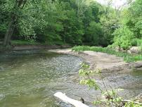 Rooted in Nature Club: Creek Stomp