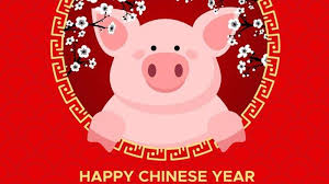 Gambar babi hd gambar via kalimantanpers.co.id. Index Of Wp Content Uploads 2019 02