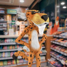 Find a cooler bodega cat. I'll wait.