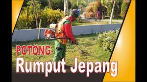 We did not find results for: Cara Memotong Rumput Jepang Youtube