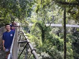 Check spelling or type a new query. Thirteen Persona Pengalaman Berjalan Di Tree Top Walk Sungai Sedim Siri Pengembaraan South Eco Kedah Bersama Tourism Malaysia