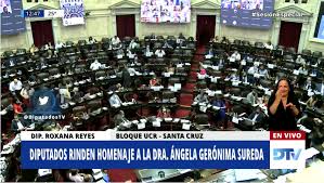 Su composición y atribuciones están establecidas en el capítulo v de la constitución política de chile. Sesion En Vivo H Camara De Diputados De La Nacion 11 De Febrero De 2021 Infouco