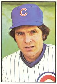 Cubs_an_appreciation