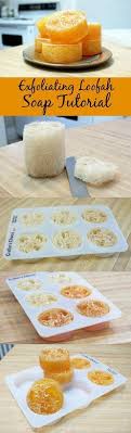 Diy Melt And Pour Loofah Soap Recipe Recettes De Savon Maison Recettes De Savon Savon Fait Maison