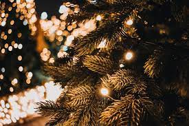 Browse 284,399 christmas lights stock photos and images available, or search for christmas lights house or christmas to find more great stock photos and pictures. Best 500 Christmas Lights Pictures Hd 2019 Download Free Images On Unsplash