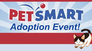 The canines that are up for adoption each weekend will all have an operation kindness volunteer with them. Old Town Petsmart Adoption Event Greenville Ave Petsmart Dallas 23 May 2021