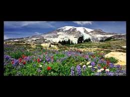 инструментальная музыка энио морриконе тема из к ф профессионал Relax Mantra Iscelyayushaya Dushu Youtube Instrumentalnaya Muzyka Mirovaya Muzyka Luchshie Pesni