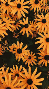 We've gathered more than 5 million images uploaded by our users and sorted them by the most popular ones. Wallpaper Yellow Theme