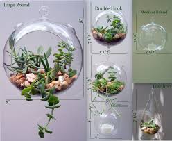 Get the best deals on glass home décor terrarium. Terrarium Glass Hanging Double Hook Vertical Gardening Diy No Etsy Hanging Glass Terrarium Hanging Terrarium Vertical Garden Diy