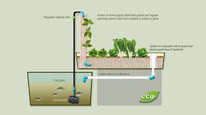 Aquaponik Simbiosis Mutualis Ikan Dan Tanaman Aquaponics Hidroponik Ide Berkebun