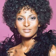 We offers african american hairstyles wigs products. 70s Hairstyles Black Women Hair Styles Andrew