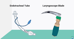 An infrared (ir) lamp directs waves of light through a tube filled with a sample of air toward an optical filter in front of an ir light detector. What Is Intubation Procedure Study Guide And Practice Questions