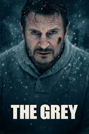 Not the best pic, but apparently someone in the Navy was with the family  during Xmas 1955. Maybe this is who aunt Bethany was thinking of?