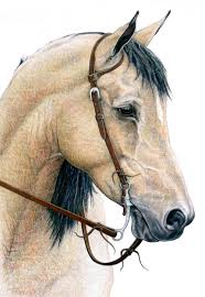 Dsc Gallery Of Canadian Drawing Masters Horses Horse Drawings Horse Painting