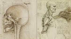 Leonardo da vinci rimane l'unico artista pensatore che ha accentrato il suo pensiero scientifico e filosofico sulla pittura in genere, sulla pittura che egli stesso faceva e su quella che si. Leonardo Da Vinci Biografia Riassunto Opere E Invenzioni Tuttarteonline