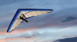 Resultado de imagen de ala