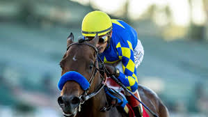 One-Handed Teenager Chasing Horse Racing Dream In Britain