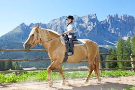 Riding In The Heart Of The Dolomites In Val D Ega South Tyrol Italy Mountain Summer South Tyrol Horseback Riding