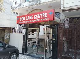 Ghaziabad nagar nigam reviews and complaints. Dr Rita Goyle Pet Clinics Book Appointment Online Pet Clinics In Surya Nagar Ghaziabad Delhi Justdial