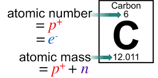 Average atomic mass is the weighted average of the isotopes for an element. Atoms Molecules E Chapter The Biology Primer