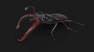 Cervus is listed as near threatened by the iucn red list. Jelonek Rogacz Stag Beetle Lucanus Cervus Buy Royalty Free 3d Model By Mahrcheen Mahrcheen E7d6ce6