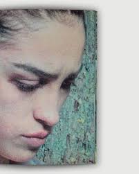 Photos by Daisy Arnold (@daisyart.portfolio) · December 13, 2025