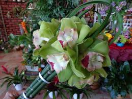 Green Cymbidium Orchids Accented With Lily Grass And Rush Designed By China Rose Florist Naples Fl Order Flowers Online Cymbidium Orchids Order Flowers