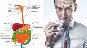 Oleh karena itu, sangat penting untuk mengendalikan tingkat stress agar tidak terkena gastritis. Penyebab Maag Kambuh Dari Telat Makan Hingga Akibat Penyakit Lain