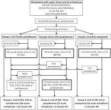 flow chart of the first 24 h showing rates of various sv