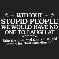 ﻿﻿ showing results 1 to 25 of 230. Stupid Funny Quotes Of All Time Funny Courtesy Quotes Google Search Stupid Quotes Stupid Dogtrainingobedienceschool Com