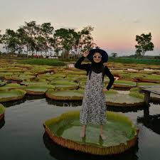 Maybe you would like to learn more about one of these? Coba Sensasi Berdiri Di Atas Daun Teratai Raksasa Di Chiang Rai Thailand Ini Yuk
