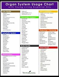 pin on yl cheat sheet