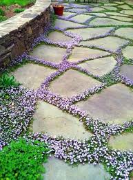 Top 60 Best Stone Walkway Ideas Hardscape Path Designs Cottage Garden Design Ground Cover Garden Stones