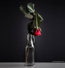 ▭ GEWALTIGE LIEBE ▭ Heute ist...