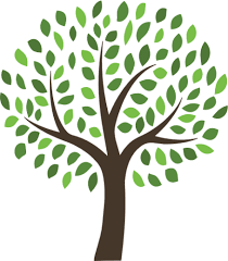 Genealogical family tree on gray background. Download Android 4 Generation Family Tree Template Png Image With No Background Pngkey Com