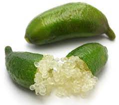It came with a little finger lime growing on it that turned yellow after two weeks and fell off. Caviar Lime Finger Lime My Exotic Fruit