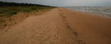 Point beach state forest cabins. Best Camping In And Near Point Beach State Forest