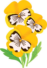 However, along with edible flowers, and edible fruit flowers, there are also some words of caution that go with this and common sense prevails. Harvesting Your Plant Woolworths Discovery Garden