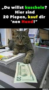Wenn dir „lustige videos zum totlachen gefällt, gefallen dir vielleicht auch diese ideen. Beste Bilder Videos Und Spruche Und Es Gibt Jeden Tag Neue Lustige Facebook Katzen Katzen Katzen B Katzen Lustige Spruche Katzen Witze Katze Lustig